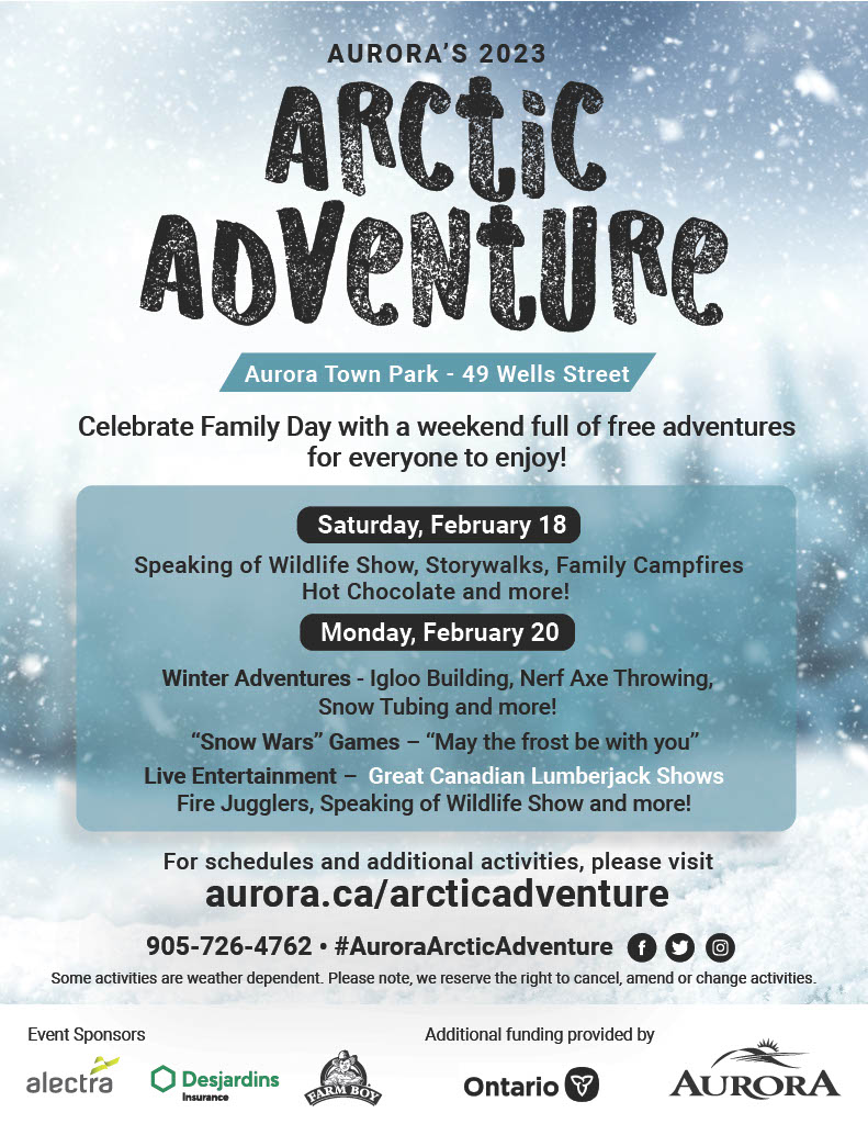 Aurora’s Arctic Adventure