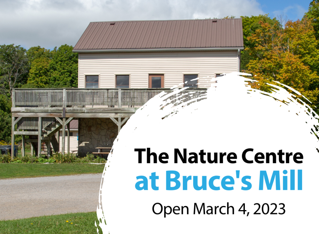 Grand Opening of The Nature Centre at Bruce’s Mill!